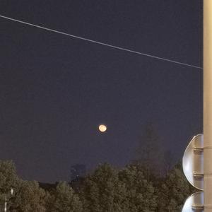 杏色av免费在线观看
