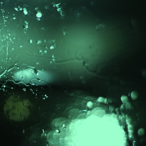 杏色av免费在线观看
